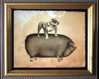 English Bulldog Riding Pig  Vintage Collage Art Print on Tea Stained Paper   dog art  dog s      xmas  for momWFH office art