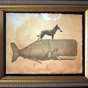 Australian Cattle Dog Riding Whale Vintage Collage Print Tea Stain dog art gifts for dog mom dog christmas gifts for dog loss pet loss gifts