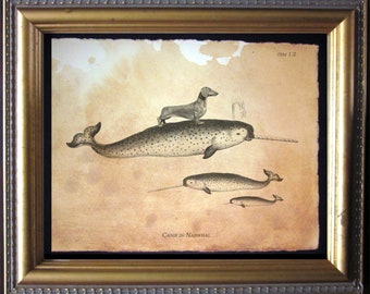 Dachshund Wiener Dog Riding Narwhal – Vintage Collage Art Print on Tea-Stained Cotton Rag Paper | Quirky Dog Wall Decor