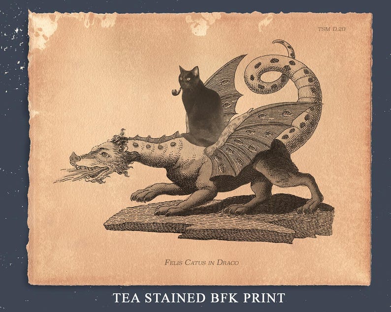Black Cat Riding Dragon Art Print, Whimsical Cat Wall Decor - Etsy