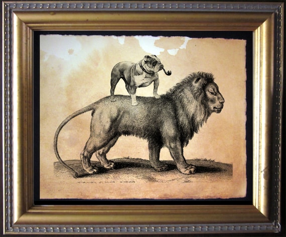 English Bulldog Riding Lion Vintage Collage Art Print on Tea