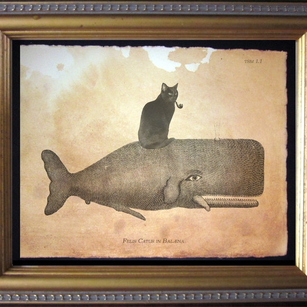 Impression d'art chat noir chevauchant une baleine, art mural chat lunatique