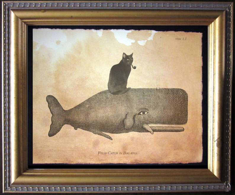 May include: A vintage-style illustration of a black cat sitting on the back of a whale. The cat is wearing a pipe and the whale has a single eye. The text "Felis Catus in Balena" is printed below the image.