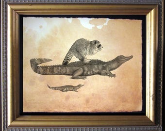 Raccoon Riding Alligator Collage Art Print Tea Stained Paper raccoon gifts alligator gifts raccoon art alligator art gifts for boyfriends