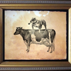 English Bulldog Riding Cow  Vintage Collage Art Print on Tea Stained Paper   dog art  dog s      xmas  for momWFH office art