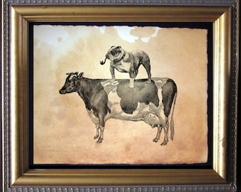 English Bulldog Riding Cow  Vintage Collage Art Print on Tea Stained Paper   dog art  dog s      xmas  for momWFH office art