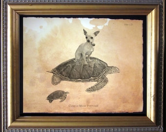 Fawn Chihuahua Riding Turtle Art Print, Whimsical Dog Wall Art