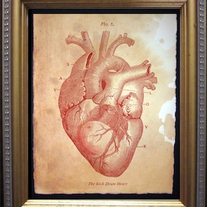 The Kick Drum Print Vintage Anatomy Heart Say Love Art Print on Tea Stained Paper  for her novelty    xmas  for momdog christmas gift