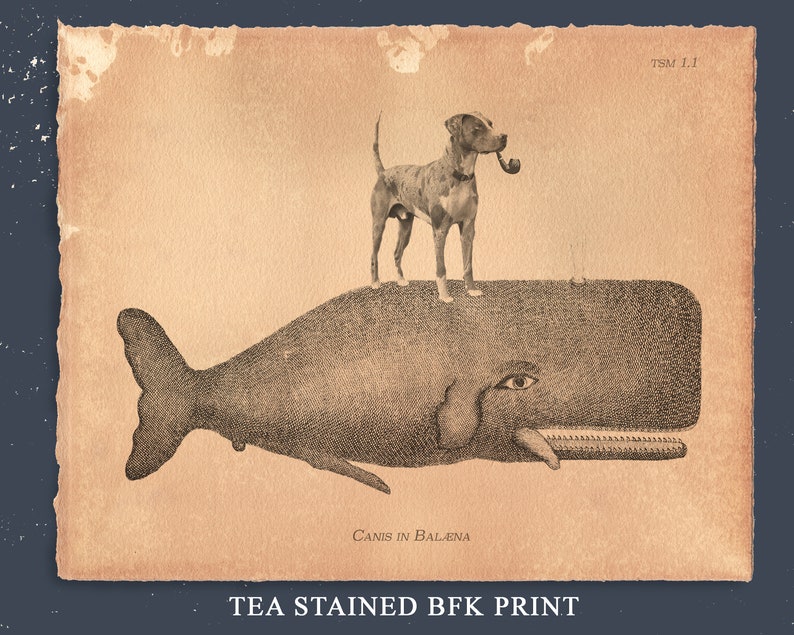 Catahoula Leopard Dog on Whale Tea Stain dog art gifts for her gifts for boyfriend dog mom gifts for mom dog memorial gift pet loss gifts image 3