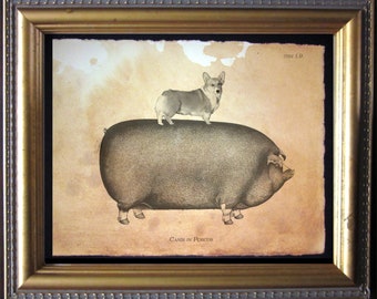 Welsh Corgi Dog Riding Pig Vintage Style Art Print