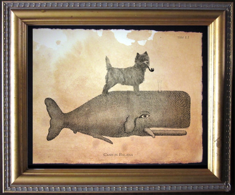 Cairn Terrier Dog Riding Whale Vintage Collage Print Tea Stained dog art dog gift for her home office art WFH art dog loss gift for dog mom image 1