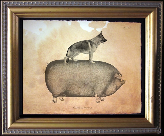 German Shepherd K9 Dog Riding Pig Vintage Collage Print Tea Stained Paper for Her Dog for for H Novelty Xmas for Momdog Christmas Gift Etsy Canada