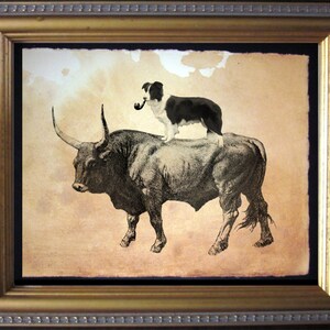 May include: A black and white border collie dog sits on the back of a black bull. The bull is standing on a light brown background. The dog is looking to the left and has a pipe in its mouth.