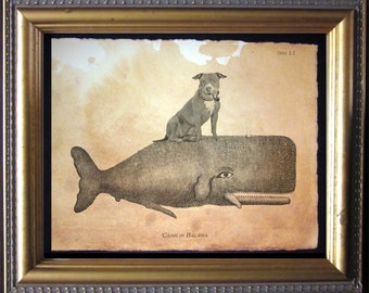 Pit Bull Terrier Dog Brown Riding Whale – Vintage Collage Art Print on Tea-Stained Cotton Rag Paper | Dog Lover Wall Art