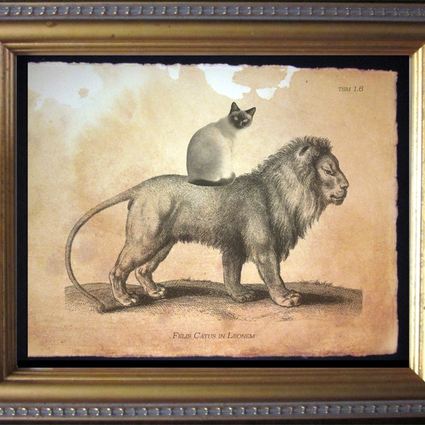 Siamese Cat Riding Lion Vintage Collage Print Tea Stained Paper cat art cat  for her cat novelty  for him siamese lover  for cat