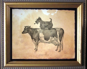 Scottish Terrier Scottie Dog Riding Cow – Vintage Collage Art Print on Tea-Stained Cotton Rag Paper | Whimsical Dog Wall Art