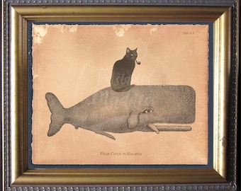 空飛ぶクジラと猫 空飛ぶクジラ 以前パリの写真で見たやーつ^_^