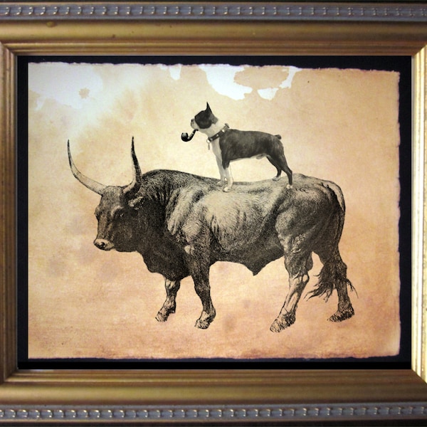 Boston Terrier Dog Riding Bull  Vintage Collage Art Print on Tea Stained Paper   dog art  dog s      xmas  for momdog christmas gift