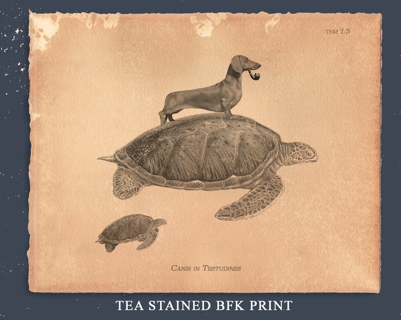 Dachshund Wiener Dog Riding Sea Turtle Print Tea Stain Dog Art - Etsy