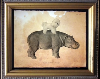 Bichon Frise Dog Riding Hippo  Vintage Collage Art Print on Tea Stained Paper dog art dog    for her   xmas  for momdog christmas gift