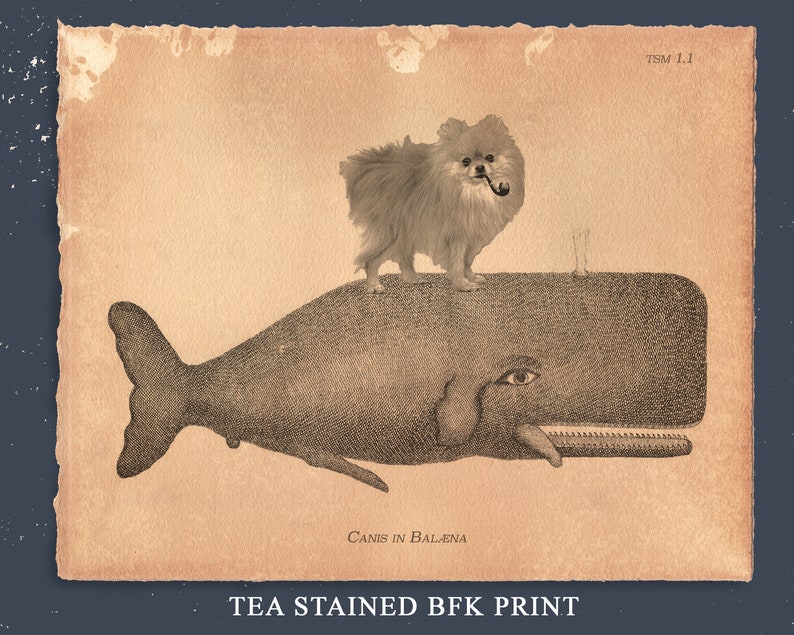 Pomeranian Dog Riding Whale Vintage Collage Print Tea Stain dog art gifts for dog mom dog christmas gifts for dog loss beach home art gifts TeaStain BFK 8x10 Zoll