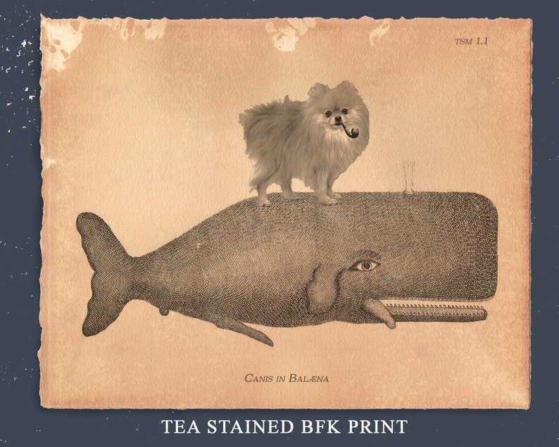 Pomeranian Dog Riding Whale Vintage Collage Print Tea Stain dog art gifts for dog mom dog christmas gifts for dog loss beach home art gifts image 3