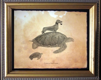 Dachshund Wiener Dog Riding Sea Turtle Print tea stain dog art gifts for christmas gifts for dog owners gifts for boyfriends turtle gifts