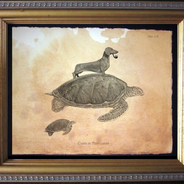 Dachshund Wiener Dog Riding Sea Turtle Print tea stain dog art gifts for christmas gifts for dog owners gifts for boyfriends turtle gifts