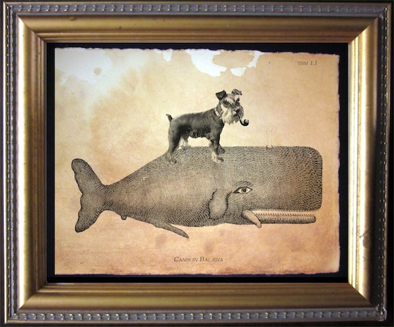 Gifts for schnauzer owners hotsell