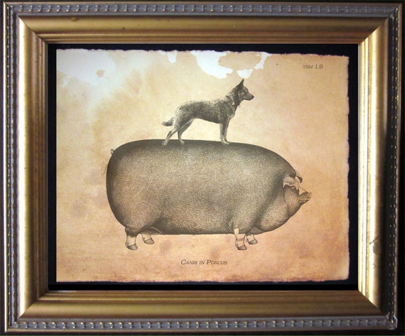 Australian Cattle Dog Riding Pig Vintage Collage Print Tea Stained Paper dog art dog  for her   for dog loverWFH office art