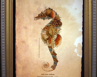 Seahorse Seashells Collage Art Print  Seashells Art  Vintage Style Nautical Art Print Seahorse on Tea Stained Paper dog art  dog s