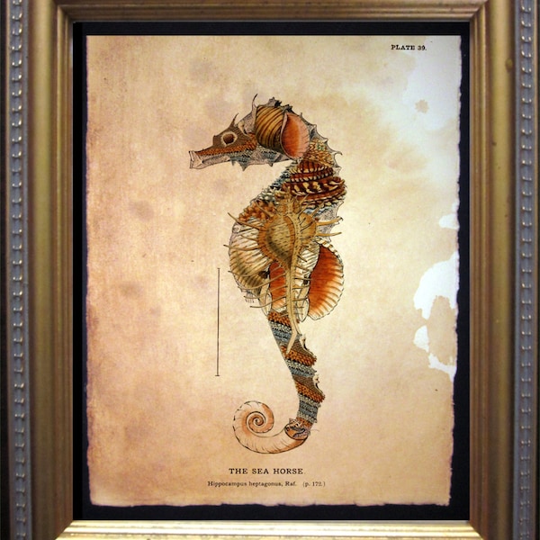 Seahorse Seashells Collage Art Print  Seashells Art  Vintage Style Nautical Art Print Seahorse on Tea Stained Paper dog art  dog s