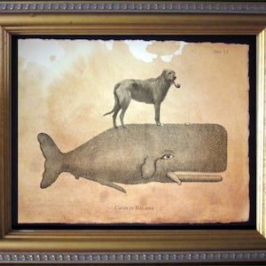 Irish Wolfhound Dog Riding Whale – Vintage Collage Art Print on Tea-Stained Cotton Rag Paper | Whimsical Dog Wall Art
