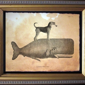 Airedale Terrier Dog Riding Whale Vintage Collage Print Tea Stain dog art gifts for dog mom dog christmas gifts for dog dad dog loss gifts
