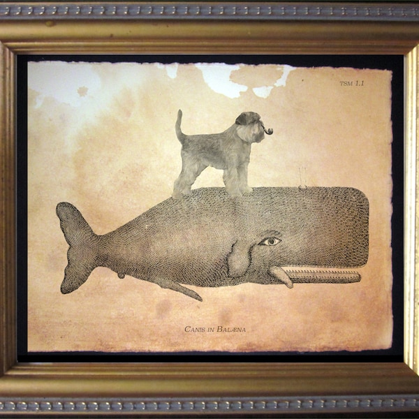Brussels Griffon Dog Riding Whale Vintage Collage Print Tea Stained dog art dog gift for her gift for home office art WFH art