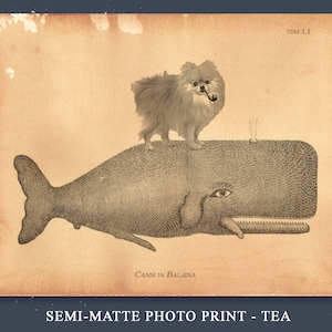 Pomeranian Dog Riding Whale Vintage Collage Print Tea Stain dog art gifts for dog mom dog christmas gifts for dog loss beach home art gifts image 6