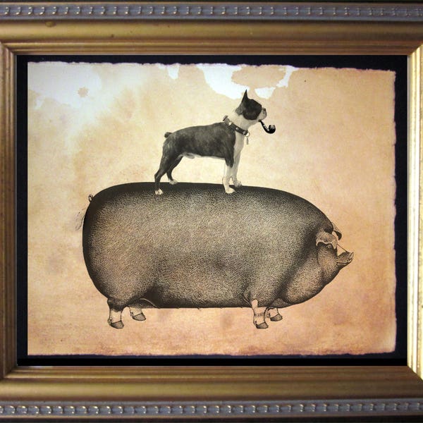 Boston Terrier Riding Pig  Vintage Collage Art Print on Tea Stained Paper   dog art  dog s      xmas  for momWFH office art