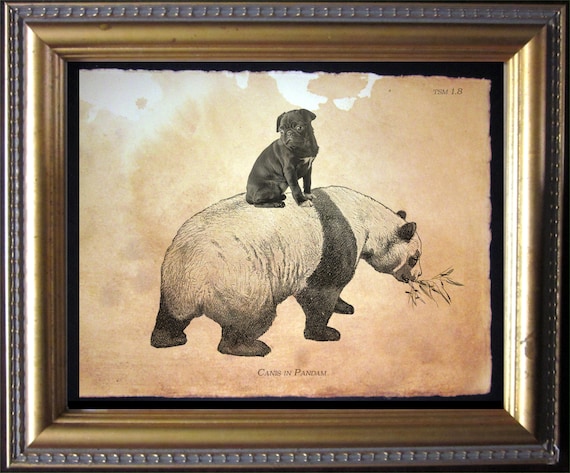 Black Pug Riding Panda Vintage Collage Art Print Tea Stained Paper dog art dog    for her novelty    xmas  for momdog christmas gift