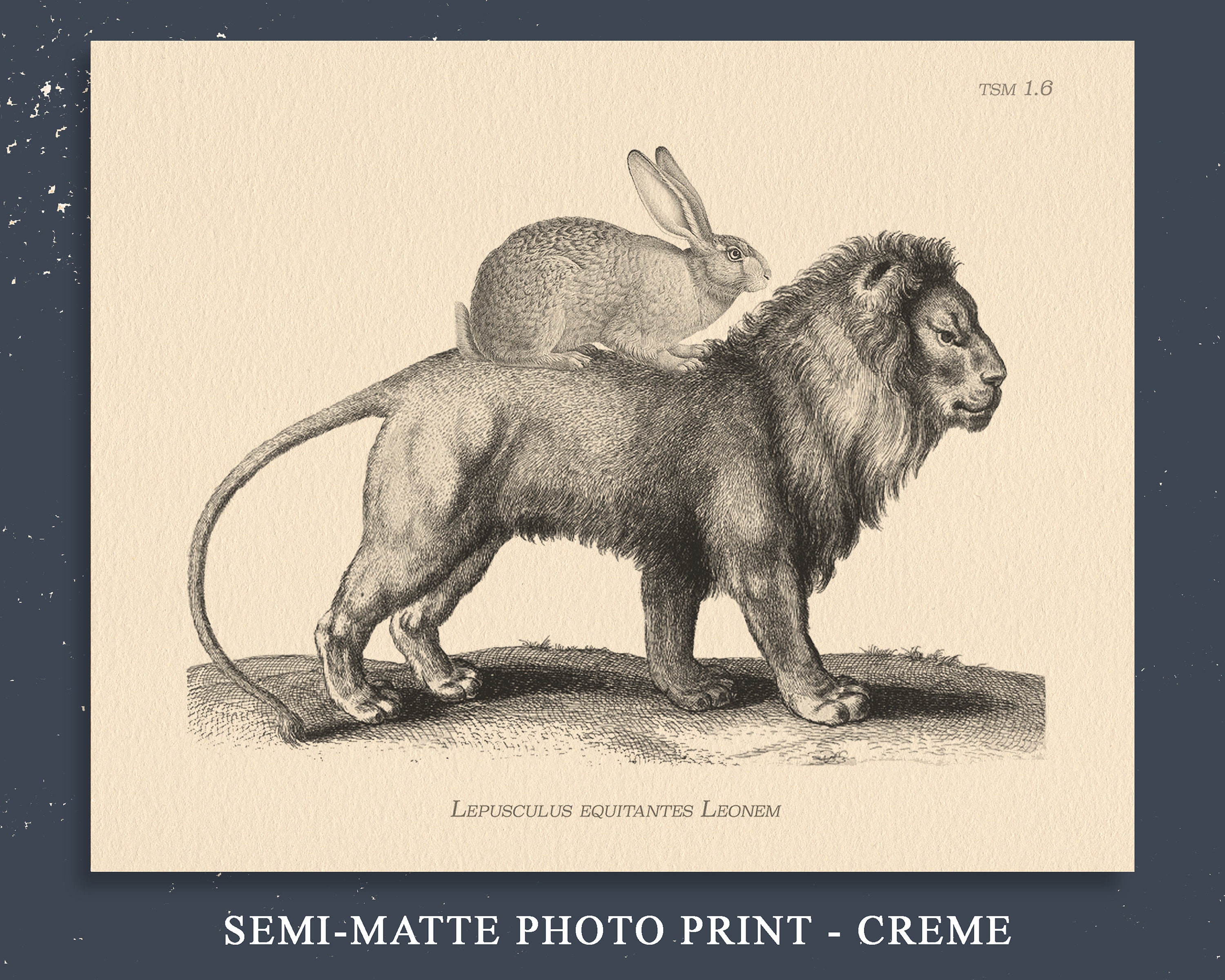 Bunny Rabbit Riding Lion Collage Print Creme Paper Bunny Art Gift