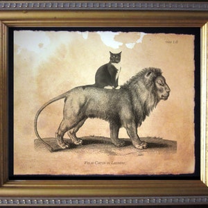 Tuxedo Cat Riding Lion Vintage Collage Print tea stain cat art cat gifts for christmas gifts for cat lovers gifts for boyfriends whale gifts