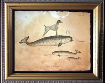 German Shorthair Pointer Print: Dog on Narwhal, Tea-Stained Art