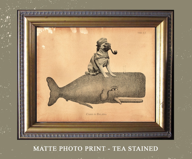Cairn Terrier Dog Riding Whale Vintage Collage Print Tea Stained dog art dog gift for her home office art WFH art dog loss gift for dog mom image 4