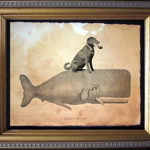 Labrador Retriever Chocolate Lab Dog Riding Whale Vintage Collage Print Tea Stain dog art gifts for dog mom gifts for dog Christmas gifts