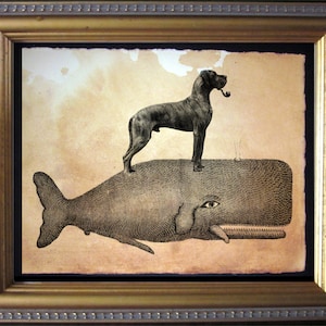 Brindle Great Dane Riding Whale Vintage Collage Art Print Tea Stained dog art dog gift for her gift for home office art WFH art
