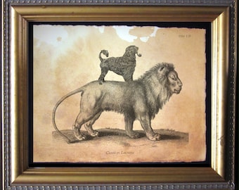 Portuguese Water Dog Riding Lion Vintage Collage Art Print Tea Stained Paper dog art dog  for her portie dog pwd dog lover novelty
