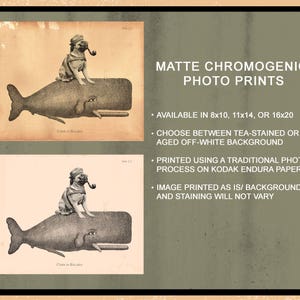 May include: A digital illustration of a pug wearing a sailor hat and holding a pipe, riding on a whale with the text "Cast in Balance". The image is available as a matte chromogenic photo print in various sizes.