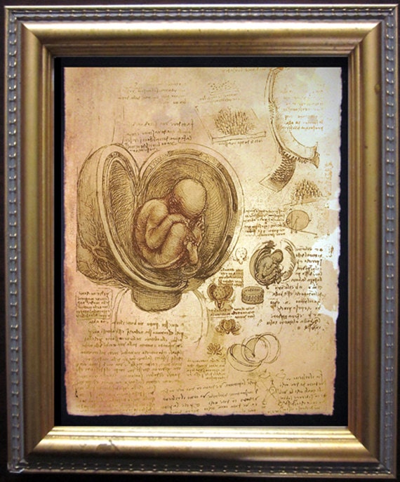 Leonardo Da Vinci Anatomy Art Print  on Tea Stained Paper dog art  dog s        xmas  for momWFH office artdog christmas gift