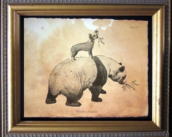 Chinese Crested Hairless Dog Riding Panda Vintage Collage Print Tea Stained Paper dog art dog  for her  for   xmas  for mom