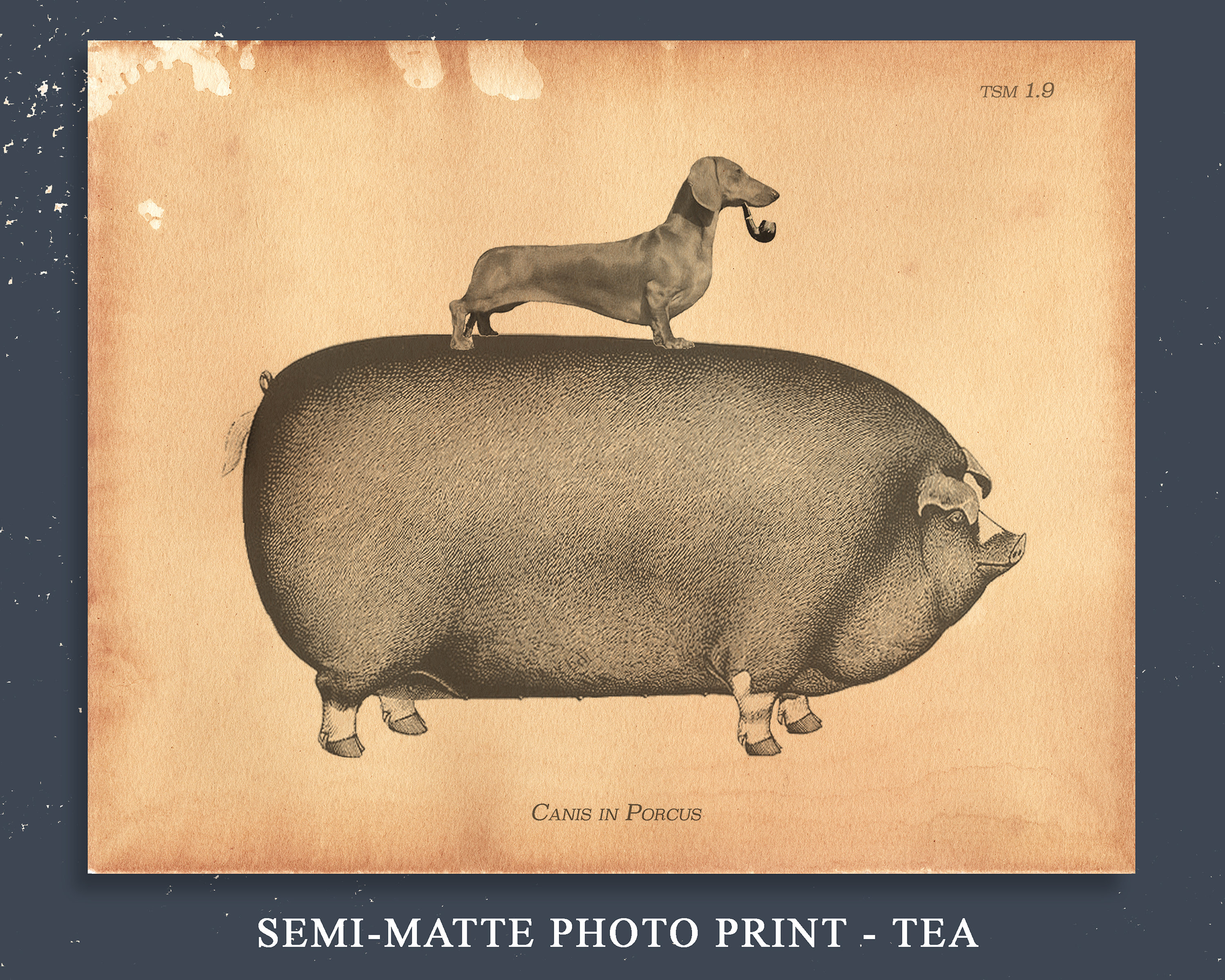 HOUND DOG EARLY DAYS 20周年記念 HOUND DOG EARLY DAYS 20周年記念