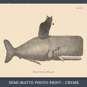 May include: A black cat with a pipe sits on top of a whale. The image is in black and white and has a vintage style. The text "Felis Catus in Balena" is below the image. The text "TSM 1.1" is in the top right corner. The text "SEMI-MATTE PHOTO PRINT - CREME" is at the bottom of the image.